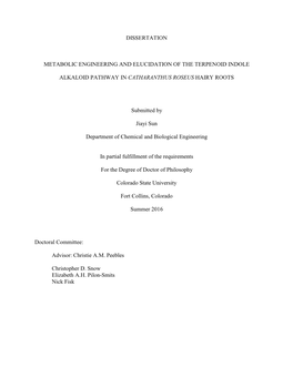 Dissertation Metabolic Engineering And