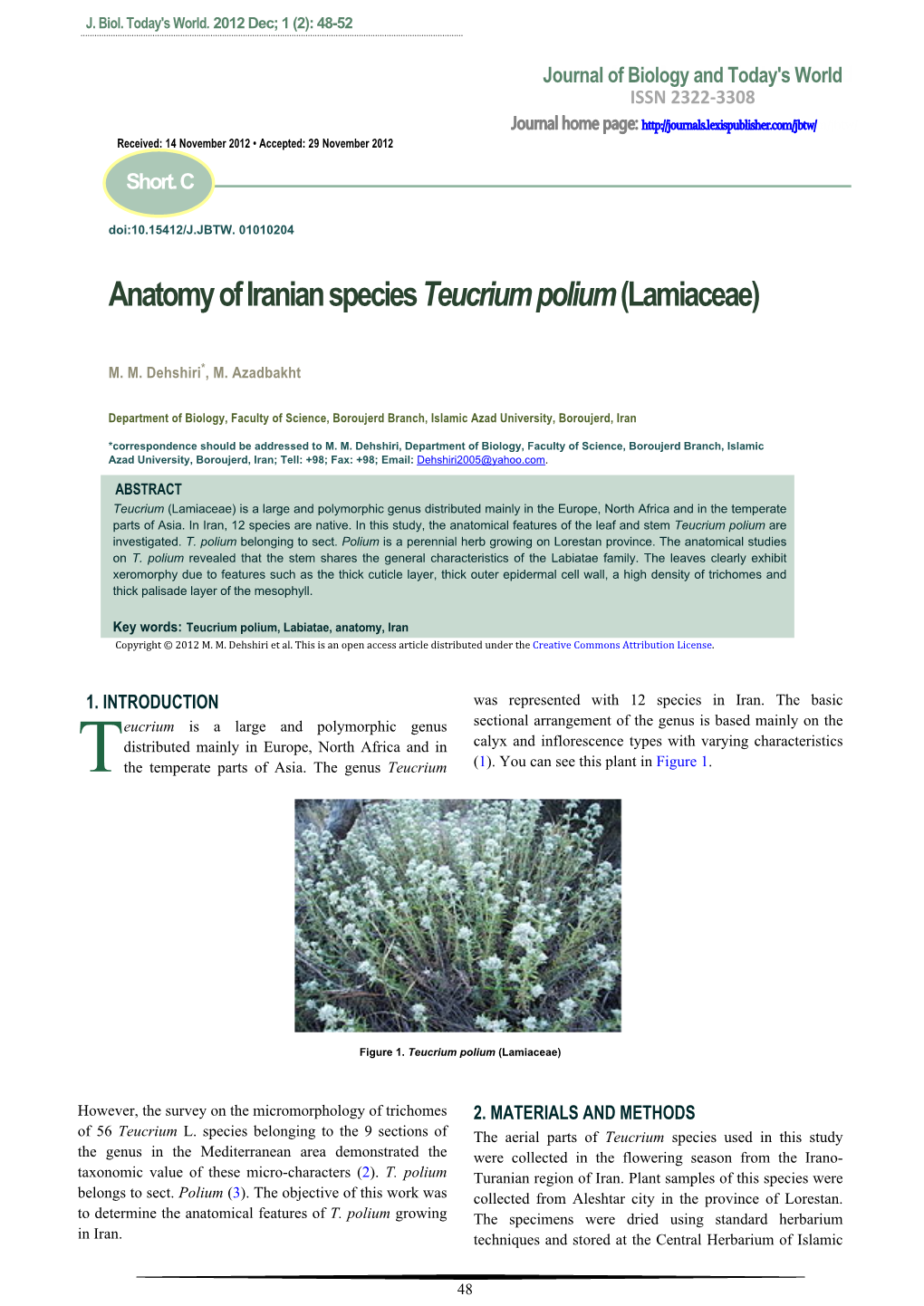 Anatomy of Iranian Species Teucrium Polium (Lamiaceae)