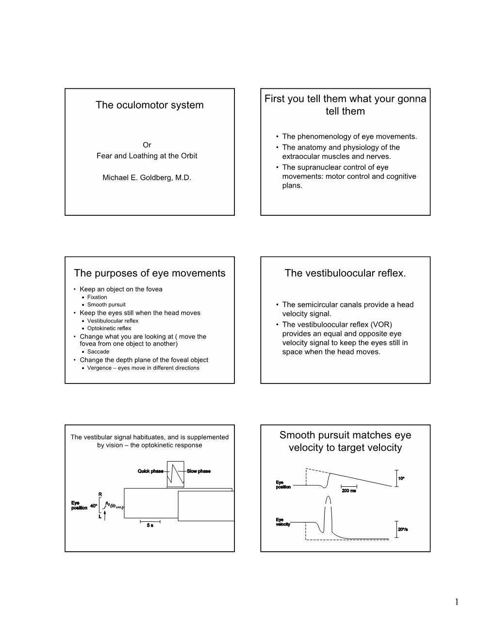 The Oculomotor System First You Tell Them What Your Gonna Tell Them The