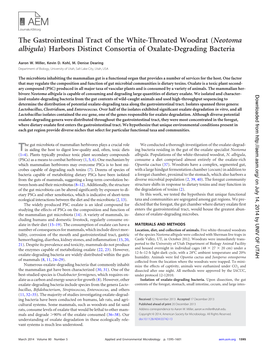 (Neotoma Albigula) Harbors Distinct Consortia of Oxalate-Degrading Bacteria