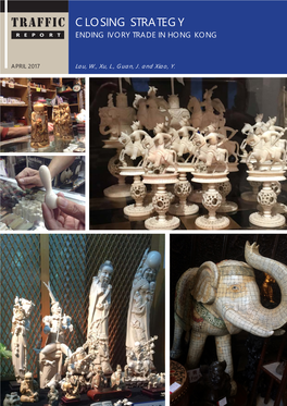 Ending Ivory Trade in Hong Kong