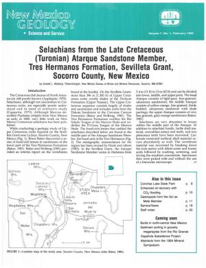 Selachians from the Late Cretaceous (Turonian) Atarque Sandstone
