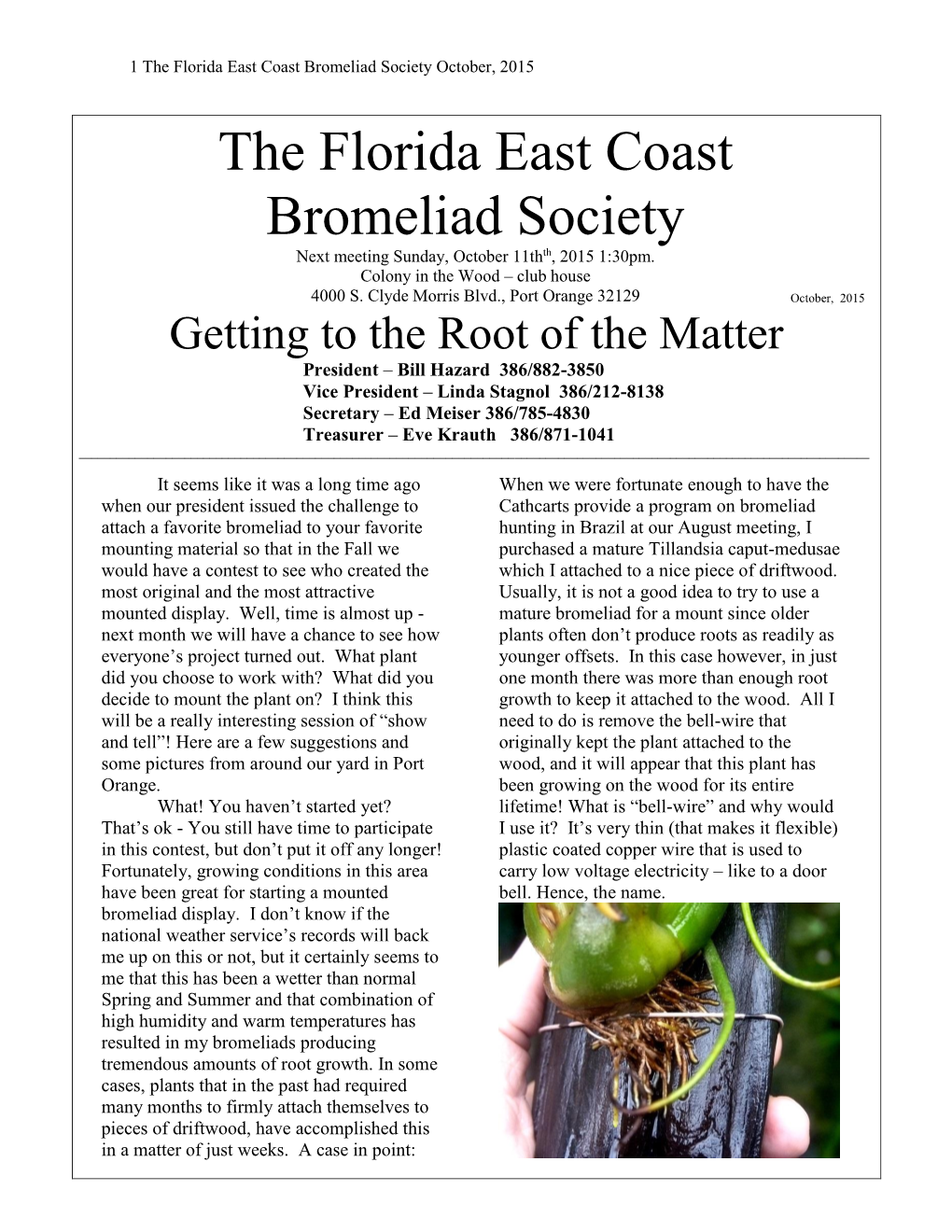 The Florida East Coast Bromeliad Society October, 2015