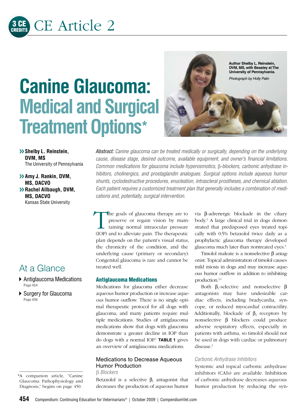 Canine Glaucoma: Medical and Surgical Treatment Options*