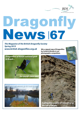 Dragonfly News 67