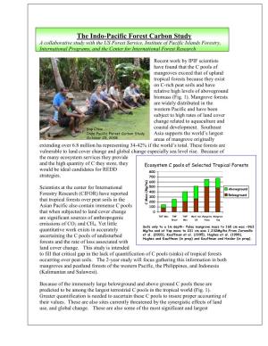 The Indo Pacific Forest C Study Handout