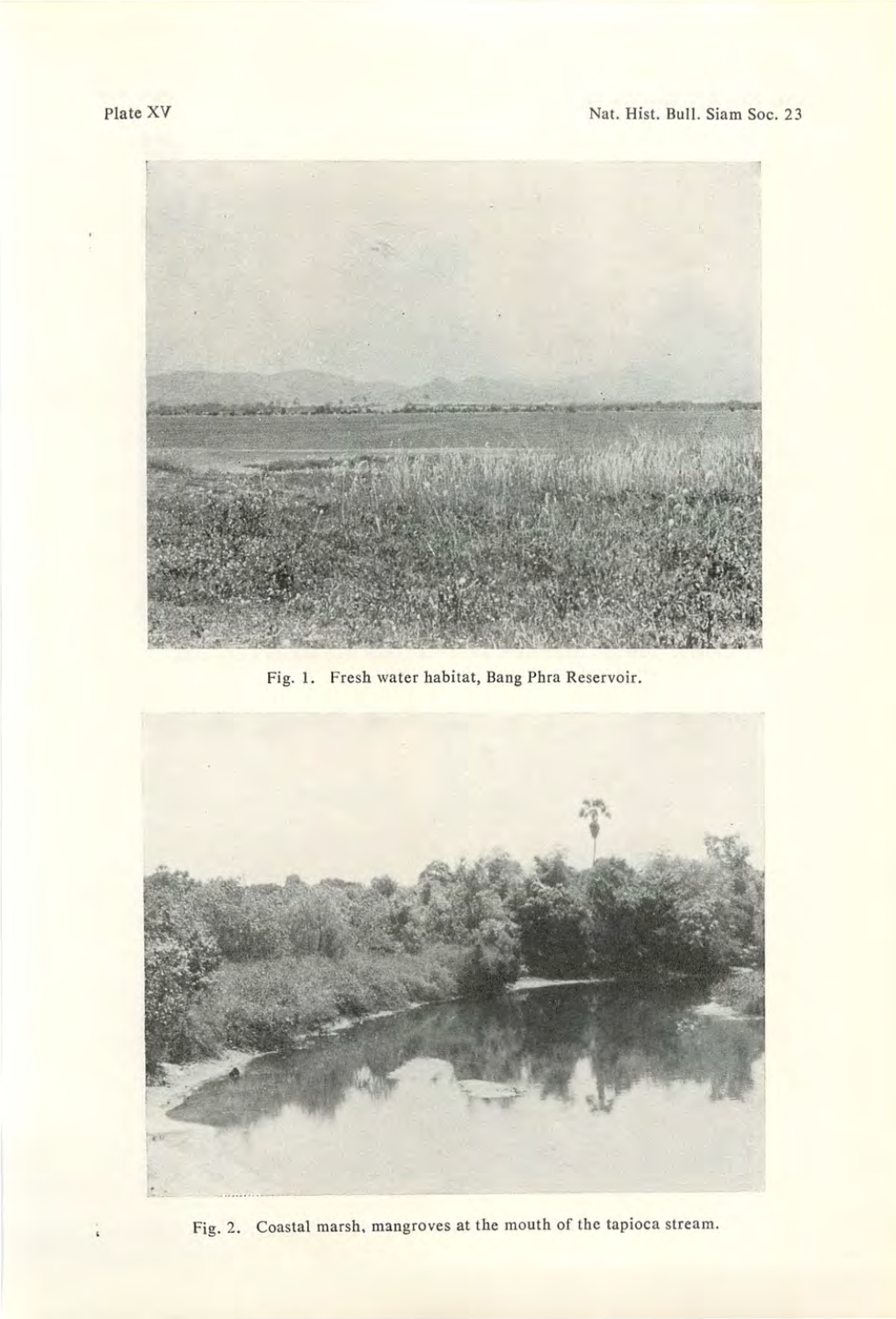 Plate XV Nat. Hist. Bull. Siam Soc. 23 Fig. L. Fresh Water Habitat, Bang Phra Reservoir. Fig. 2. Coastal Marsh, Mangroves At