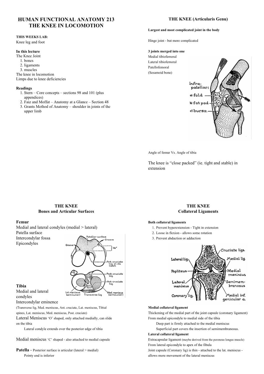 Human Functional Anatomy 213 the Knee in Locomotion