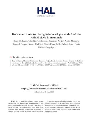 Rods Contribute to the Light-Induced Phase Shift of The