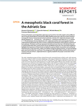 A Mesophotic Black Coral Forest in the Adriatic Sea Giovanni Chimienti 1,2 ✉ , Diana De Padova 3, Michele Mossa 3 & Francesco Mastrototaro 1,2