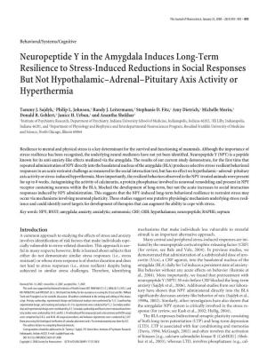 Neuropeptide Y in the Amygdala Induces Long-Term
