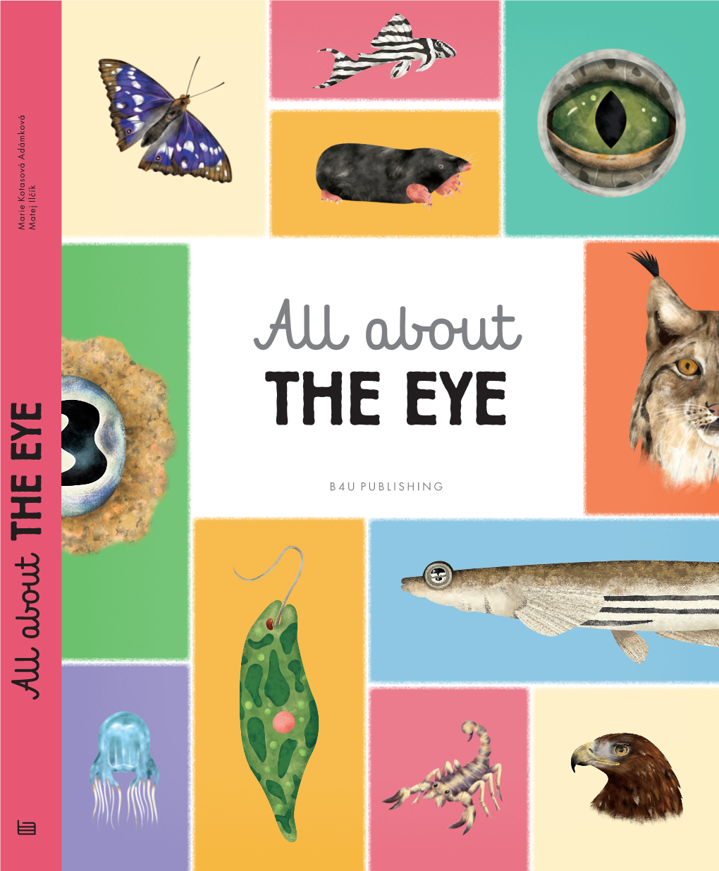 All About the EYE Written by Marie Kotasová Adámková All About Illustrated by Matej Ilčík