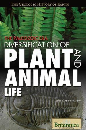 The Paleozoic Era: Diversification of Plant and Animal Life 7