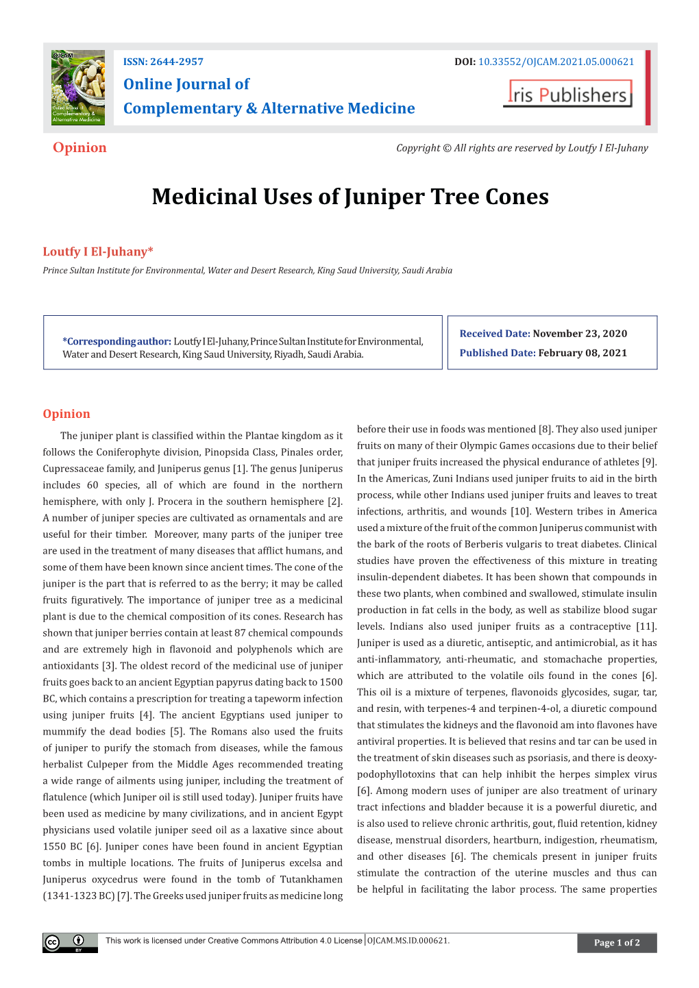 Medicinal Uses of Juniper Tree Cones