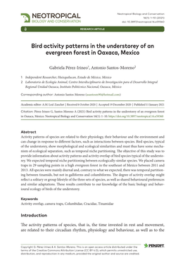 Bird Activity Patterns in the Understorey of an Evergreen Forest