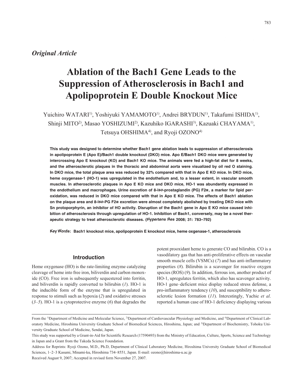 Ablation of the Bach1 Gene Leads to the Suppression of Atherosclerosis in Bach1 and Apolipoprotein E Double Knockout Mice