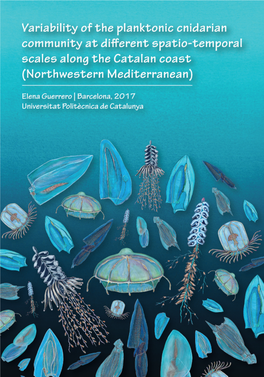 Variability of the Planktonic Cnidarian Community at Different Spatio-Temporal Scales Along the Catalan Coast (Northwestern Mediterranean)