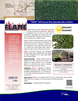 *NEW* Tall Fescue That Spreads Like a Flame DROUGHT TOLERANT