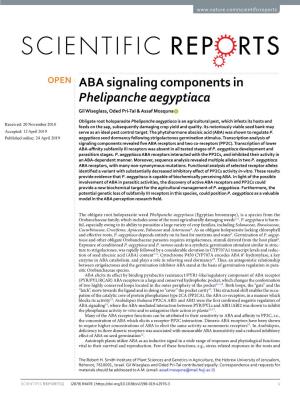 ABA Signaling Components in Phelipanche Aegyptiaca Gil Wiseglass, Oded Pri-Tal & Assaf Mosquna