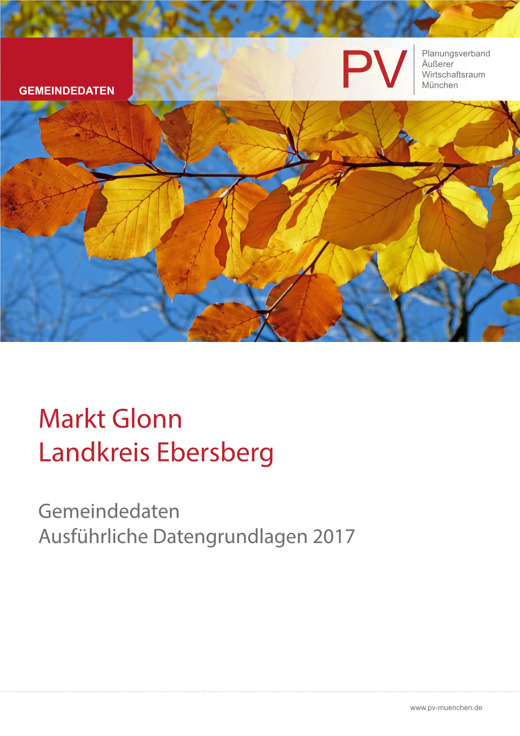 Gemeindedaten Markt Glonn 2017