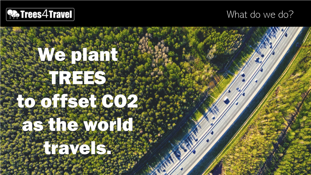 We Plant TREES to Offset CO2 As the World Travels. What’S the Problem?