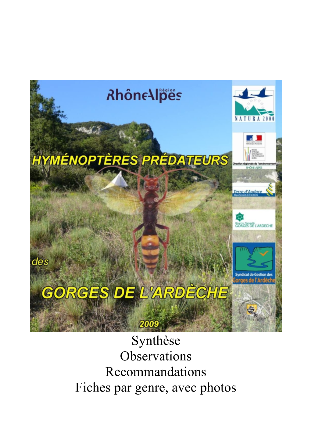 Hyménoptères Prédateurs Des Gorges De L'ardèche Synthèse De L'étude Effectuée En 2009