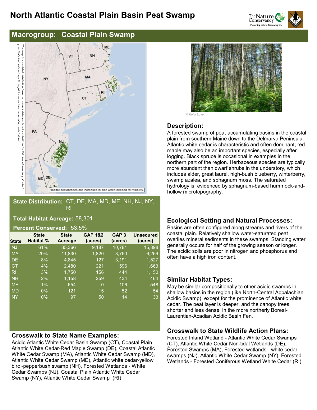 North Atlantic Coastal Plain Basin Peat Swamp