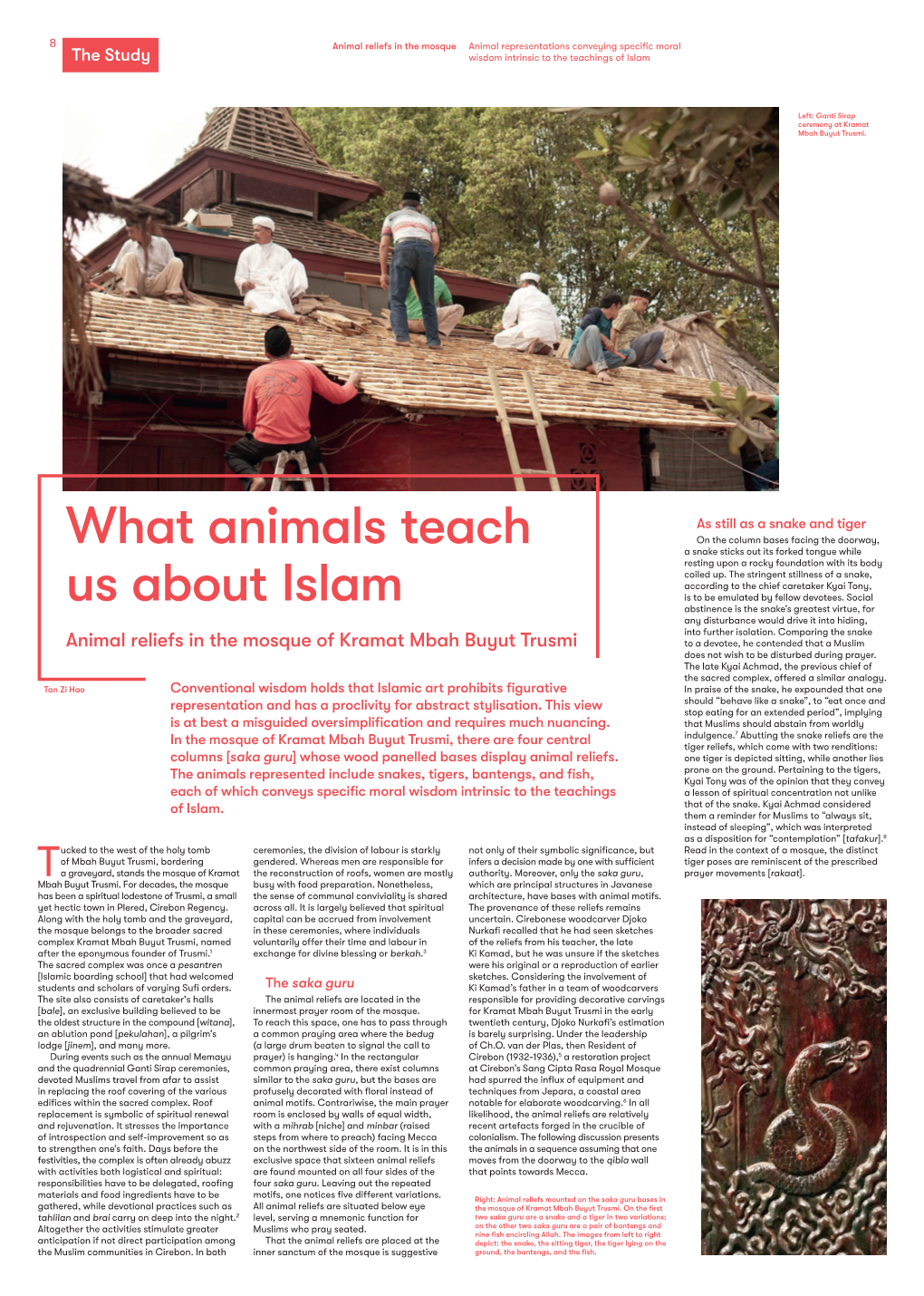 What Animals Teach Us About Islam