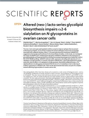 Lacto Series Glycolipid Biosynthesis Impairs Α2-6 Sialylation On