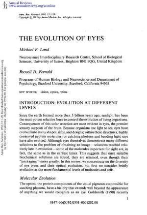 The Evolution of Eyes