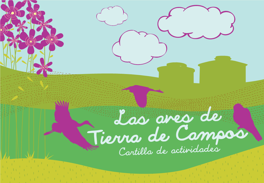 Las Aves De Tierra De Campos Cartilla De Actividades