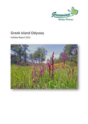 Greek Island Odyssey Holiday Report 2013