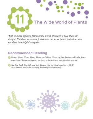 The Wide World of Plants