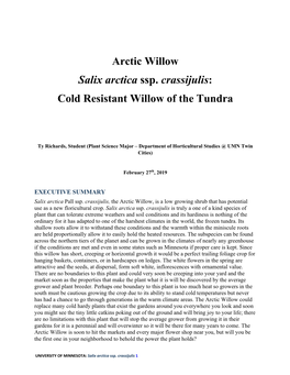 Arctic Willow Salix Arctica Ssp. Crassijulis: Cold Resistant Willow of the Tundra