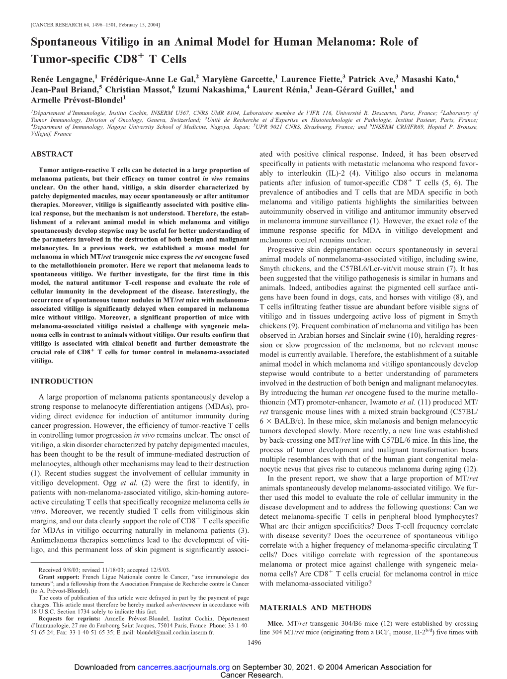 Spontaneous Vitiligo in an Animal Model for Human Melanoma: Role of Tumor-Specific CD8 T Cells