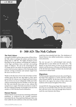 The Nok Culture the Nok Culture Would Have Been Plentiful Back Then