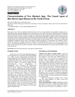 Characterization of New Bipolaris Spp.: the Causal Agent of Rice Brown Spot Disease in the North of Iran