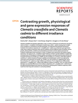 Contrasting Growth, Physiological and Gene Expression Responses Of
