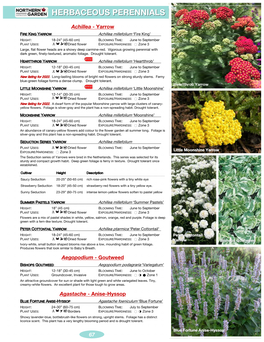 Herbaceous Perennials