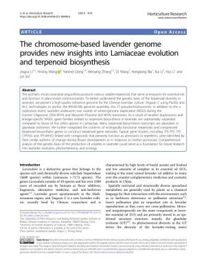 The Chromosome-Based Lavender Genome Provides New Insights Into