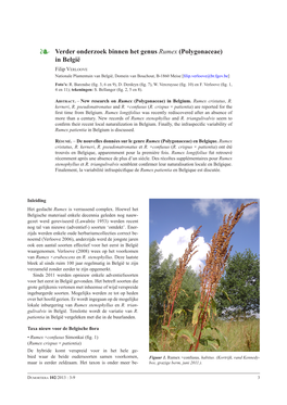 Verder Onderzoek Binnen Het Genus Rumex (Polygonaceae) in België