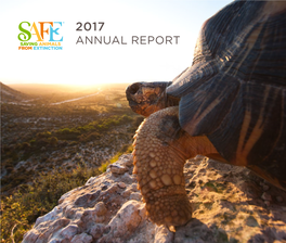 2017 SAFE Annual Report Shares the Progress Made Over the Past Year