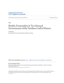 Benthic Foraminifera in Two Stressed Environments of the Northern Gulf of Mexico