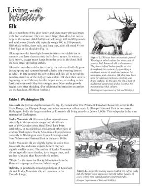Table 1. Washington Elk Roosevelt Elk (Cervus Elaphus Roosevelti, Fig