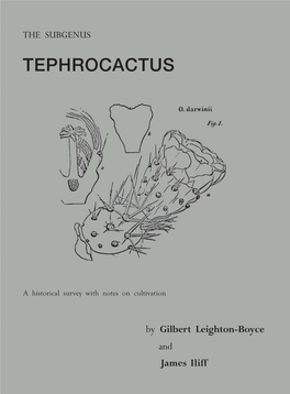 Tephrocactus