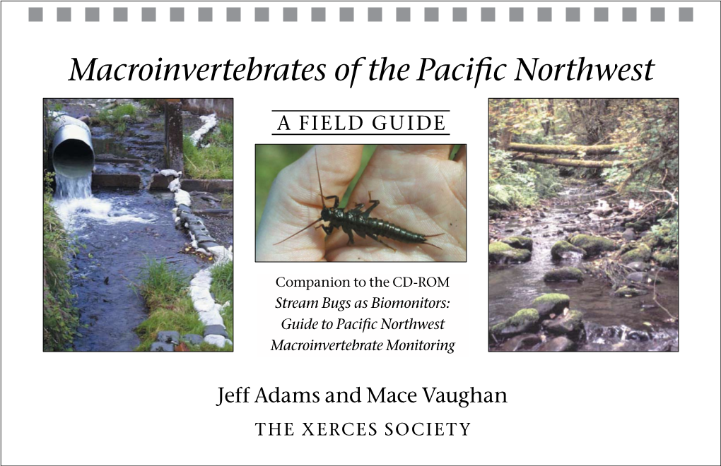 Macroinvertebrates of the Pacific Northwest