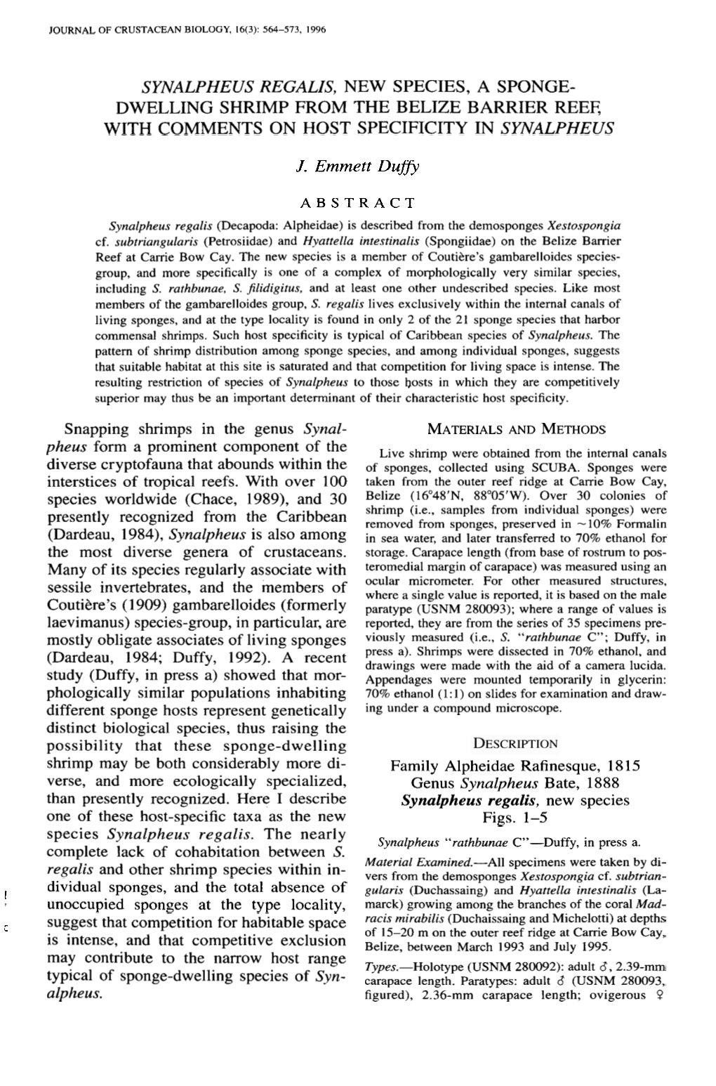 Synalpheus Regalis, New Species, a Sponge- Dwelling Shrimp from the Belize Barrier Reef, with Comments on Host Specificity in Synalpheus