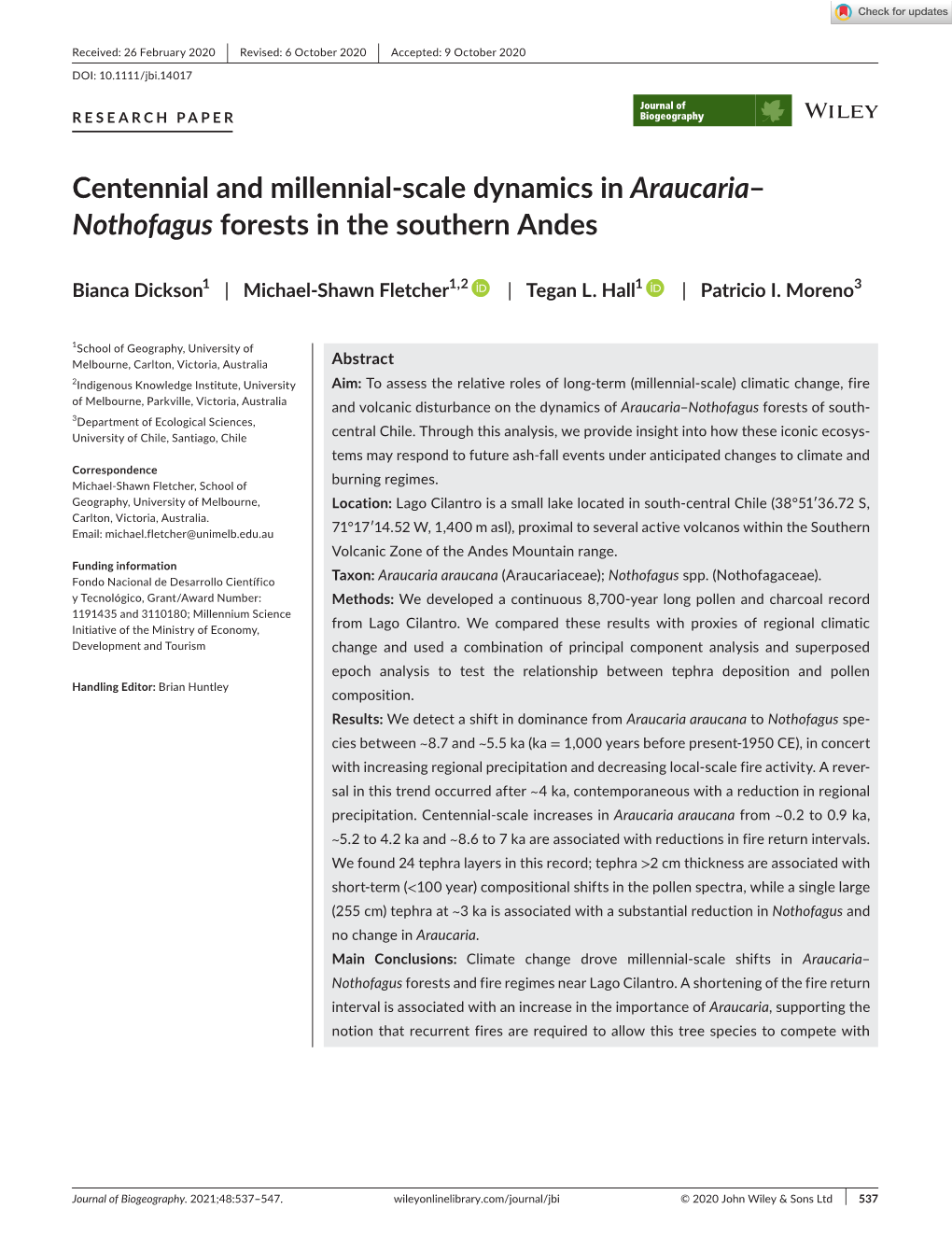 Centennial and Millennial‐Scale Dynamics in Araucaria–Nothofagus