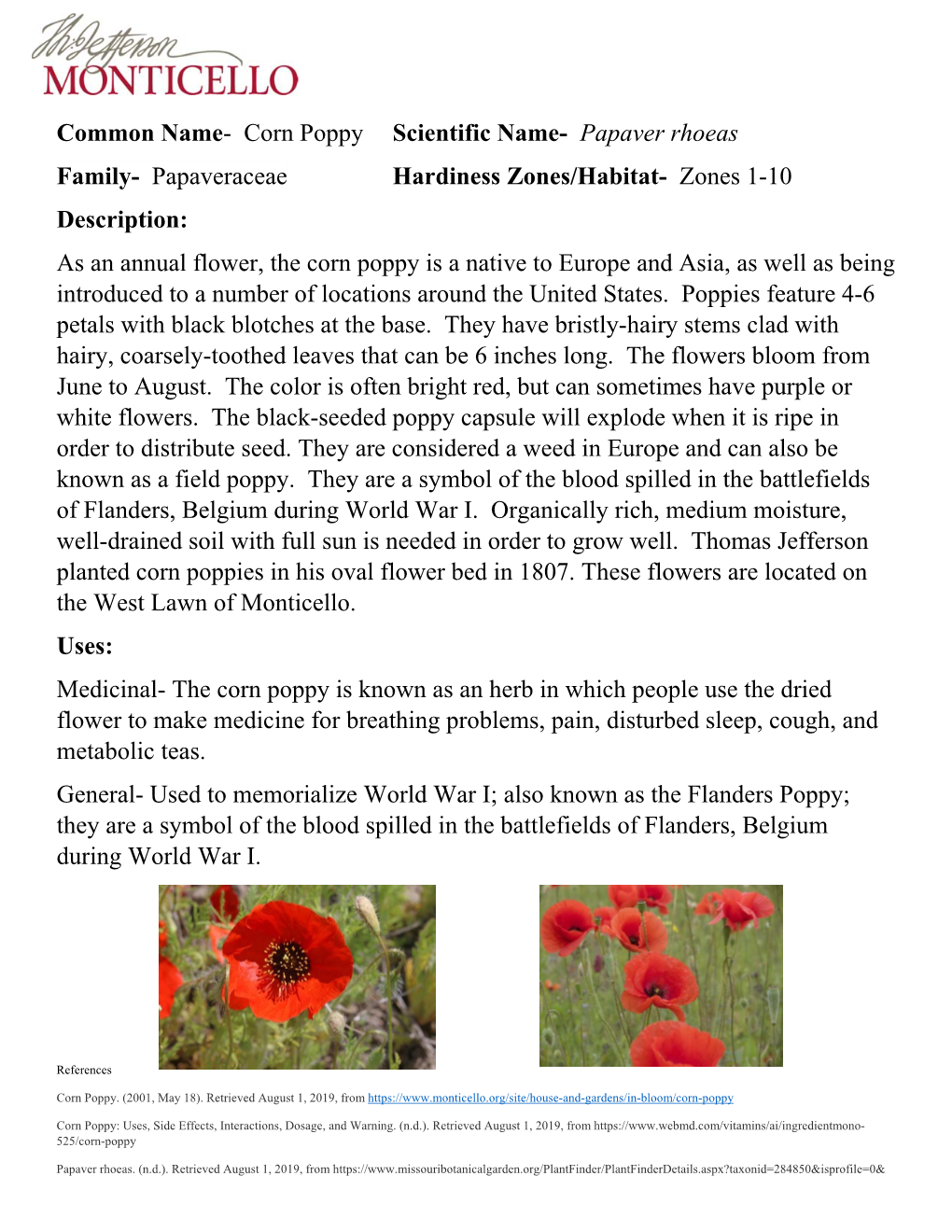 Common Name- Corn Poppy Scientific Name- Papaver Rhoeas