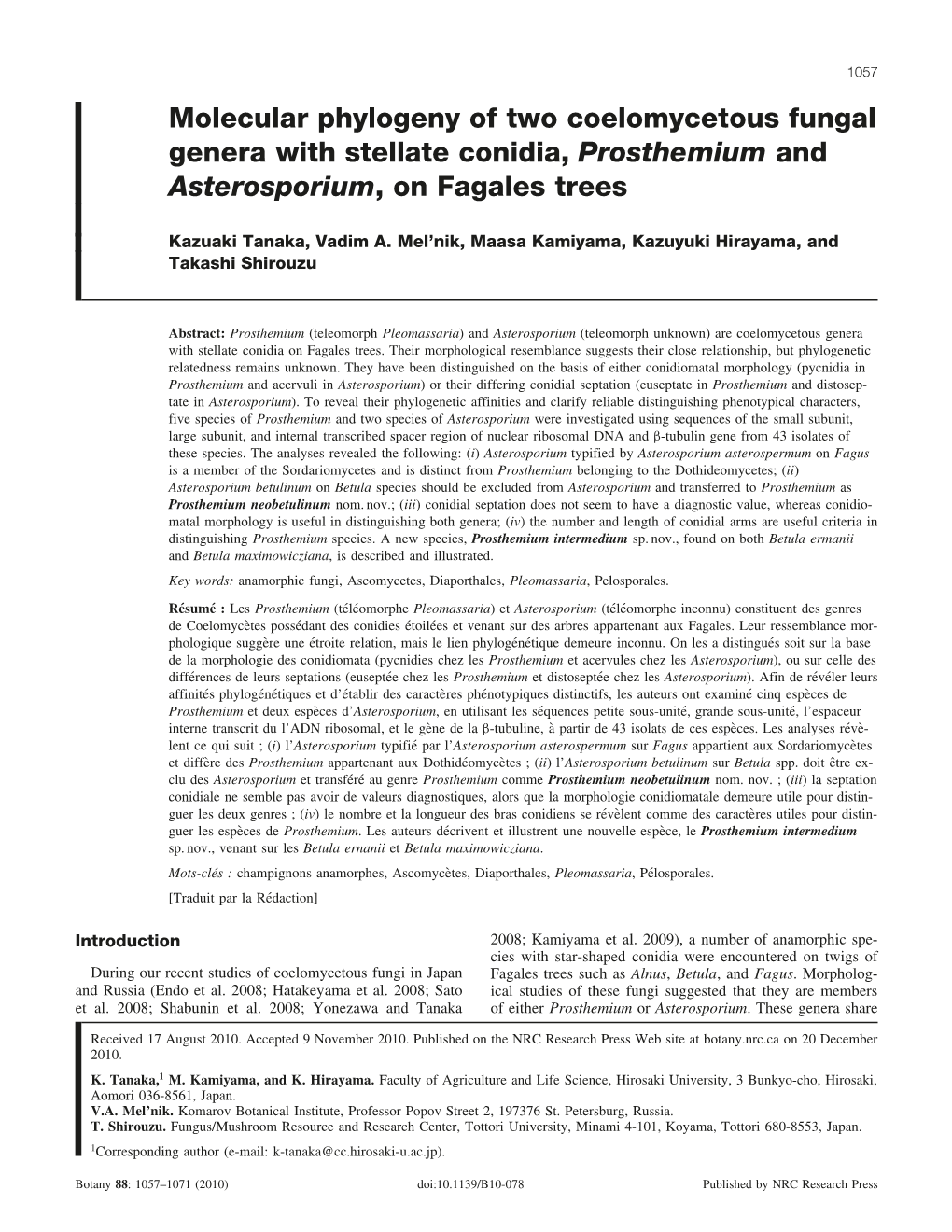 Molecular Phylogeny of Two Coelomycetous Fungal Genera with Stellate Conidia, Prosthemium and Asterosporium, on Fagales Trees